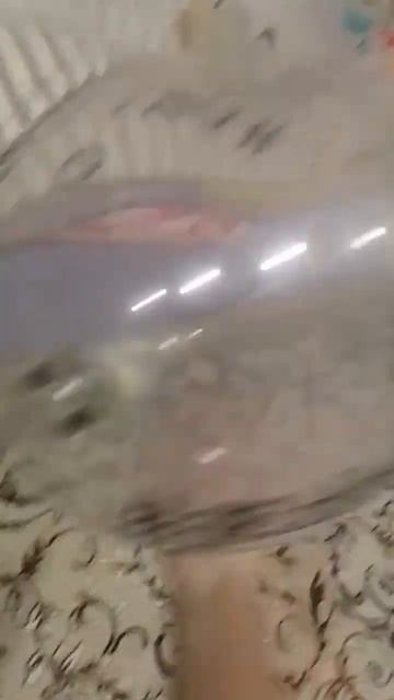 др сестры через 1 день смотреть онлайн