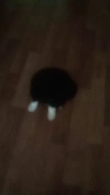 надёжный друг вашего сердца ;) смотреть онлайн