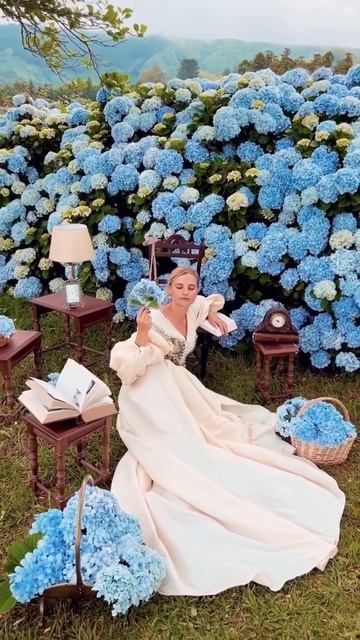 #azores#hydrangea#macrophylla#hortensia#гортензия#garden#гортензія #shorts#アジ смотреть онлайн