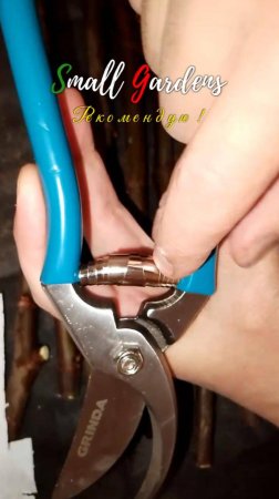 Секатор садовый (САМЫЙ ЛУЧШИЙ БЮДЖЕТНИК) цельнокованый GRINDA P-10 | Small Gardens