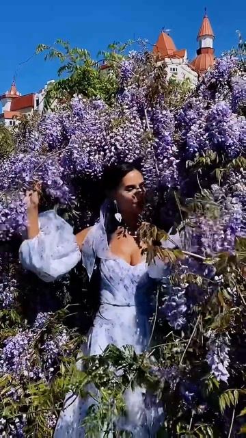 Глициния возле замка, а точнее отеля «Богатырь». смотреть онлайн