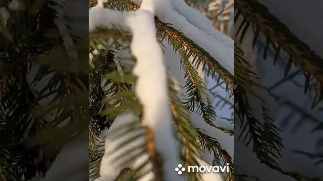 Зимняя сказка. смотреть онлайн