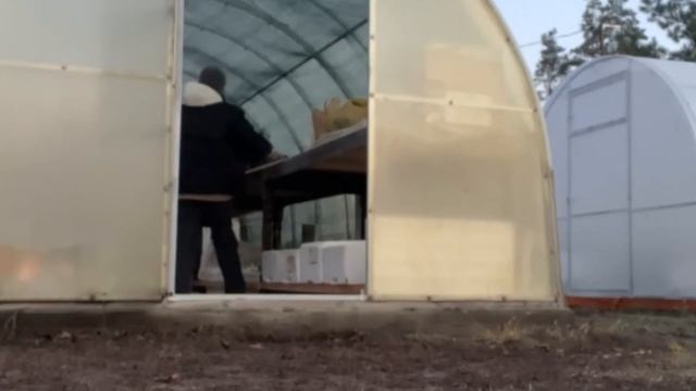 🪴КРУПНОЛИСТНЫЕ гортензии. Получила посылку Декабрь 2 смотреть онлайн