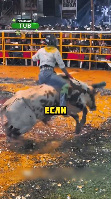 Это самый необычный вид спорта #факты #шортс #рекоменд?