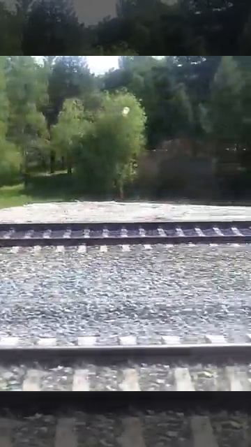 О.п. Голубые ели смотреть онлайн