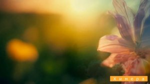 Чему бы жизнь нас не учила 🤍