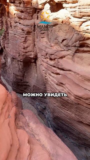 Экскурсия в Шарм Эль Шейх #египет2024 Озеров Виш ваш , кр? смотреть онлайн