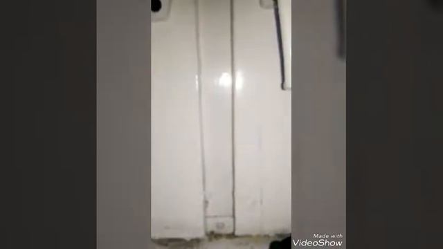 Снежок разговаривает 😶😮😰😨😱 смотреть онлайн