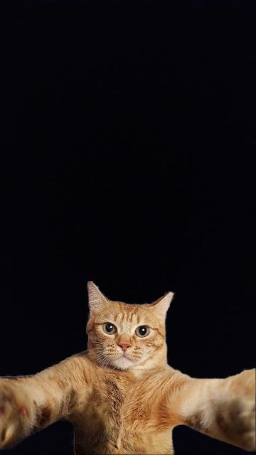 нажми два раза на мой нос смотреть онлайн