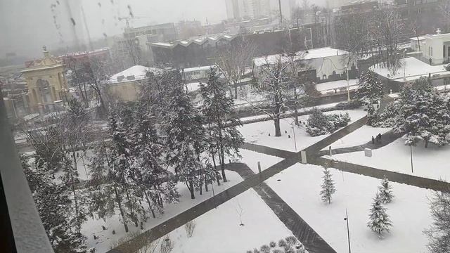 Канатная дорога «Воздушный трамвай» на ВДНХ #канатная