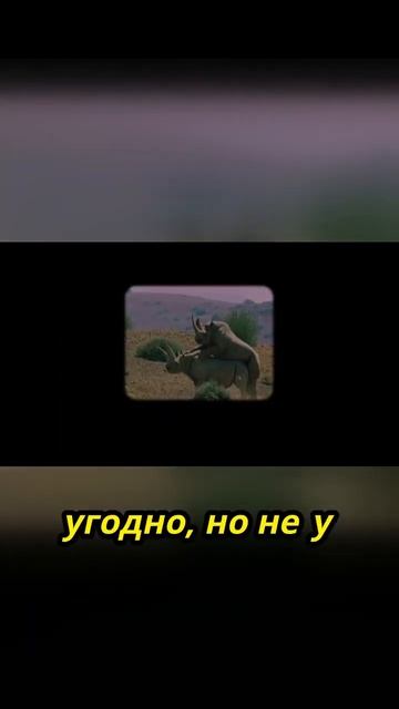 Кто нужен детям больше: отец или папа? 🤔 смотреть онлайн