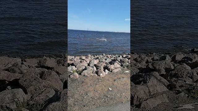 Погода в Санкт-Петербурге Красносельский район 9 мая 2025
Жемчужный пляж