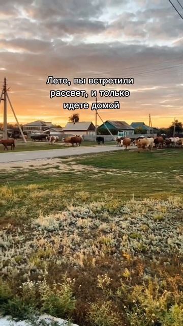 как вам песня?#ИльяПалочкин #всесияет #лето #летнийвай смотреть онлайн