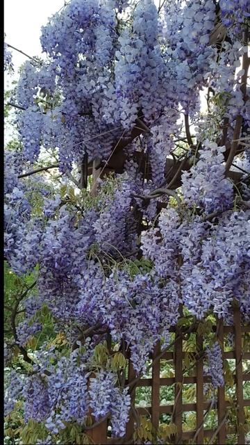 А что творчество для вас? #природа #творчество #shorts #гли смотреть онлайн