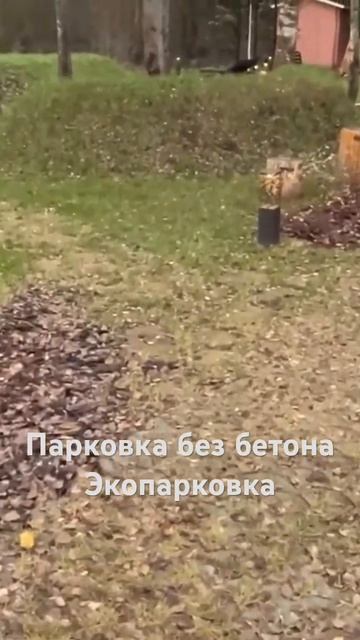 ПАРКОВКА БЕЗ БЕТОНА #экопарковка#бетон #парковка #сад#?