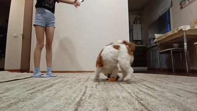 блог. часть 2,день 1) Дома, бесимся🍓🍓🍓 смотреть онлайн