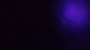 Поиск янтаря с ультрафиолетом в необычных местах.