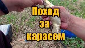 Поход за карасем