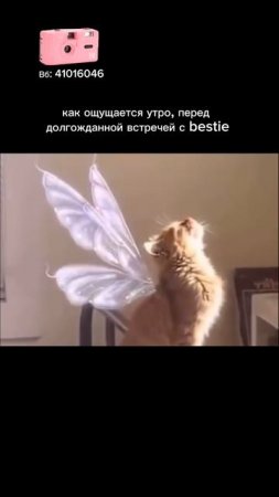 🌸 Розовый Kodak M35 — артикул WB 41016046
