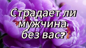 Страдает ли мужчина без вас?
