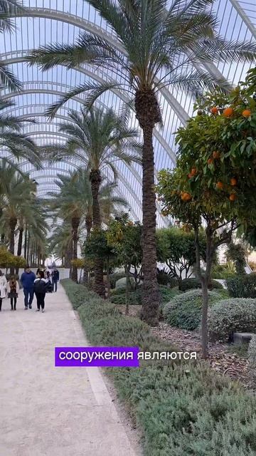 Отмечаем Новый год в Испании 🇪🇸🍊 смотреть онлайн