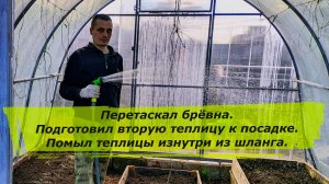Перетаскал брёвна. Подготовил вторую теплицу к посадке. Помыл теплицы изнутри