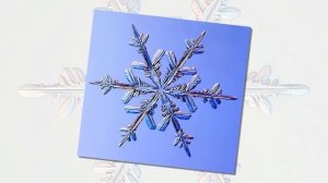 Снежинки  Презентация для детей  Окружающий мир