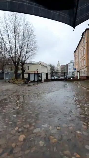 В Успенском соборе на Крутицком Подворье есть наша га? смотреть онлайн