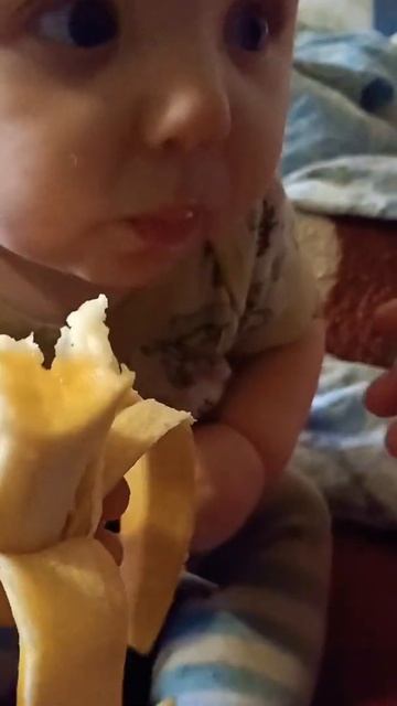 БАНАН 🍌 || #ФидКороткиеВидео || #СашаРекомендации || #Са? смотреть онлайн