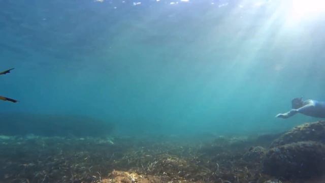 Siberian - Под Небом Золотым (Official Music Video) смотреть онлайн