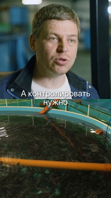 Почему рыба стоит ДОРОЖЕ мяса? #рыба #рыбалка #рыбак #узв #бизнес #рыбка #мясо #говядина #курица смотреть онлайн