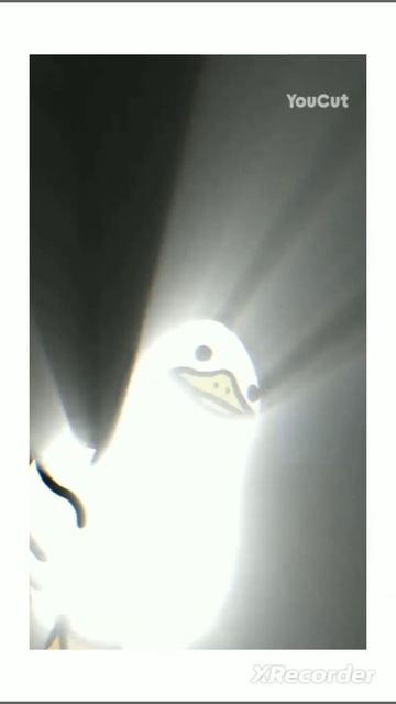 гусь обнимусь) может ктото не гусь а ктото гусь кому не смотреть онлайн