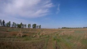 Поездка под село Захарово вдоль реки Алей.😊