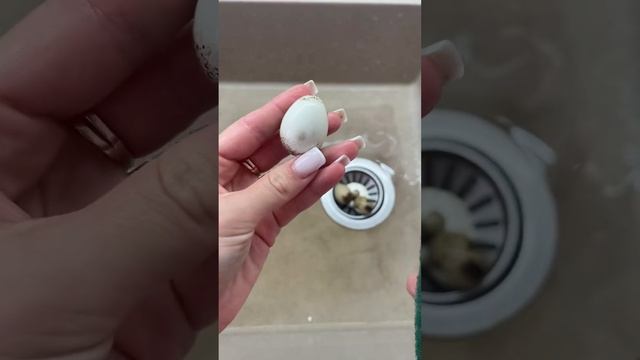 Какие должны быть перепелиные яйца??? #перепелиныеяйца