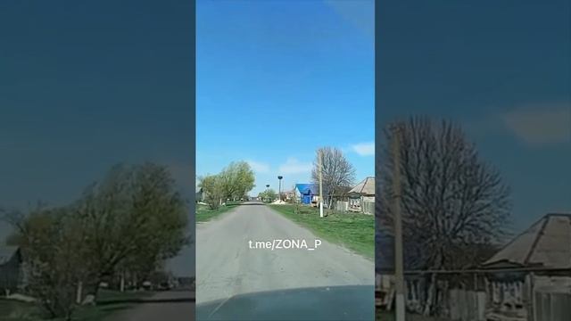 В Курском приграничье нашествие аистов !!! Миру быть! 🙏