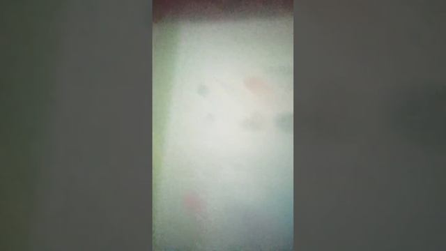 Стр 30-31 Окружающий мир 1 класс 1 часть А. А. Плешаков Что смотреть онлайн