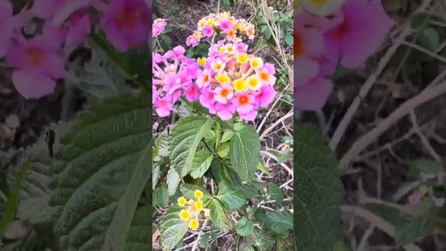 Почему мы додумываемся то чего нет и не видим то что ес