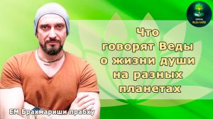 ЕМ Брахмариши прабху «Что говорят Веды о жизни души на разных планетах»