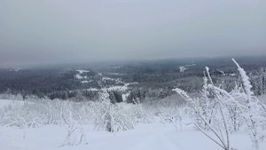 Белогорье. Январь