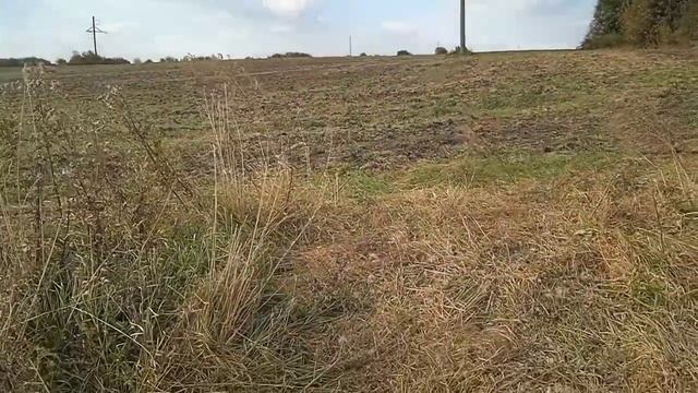 На безрыбье и борона - рыба!!! 😎 #металл #находки смотреть онлайн