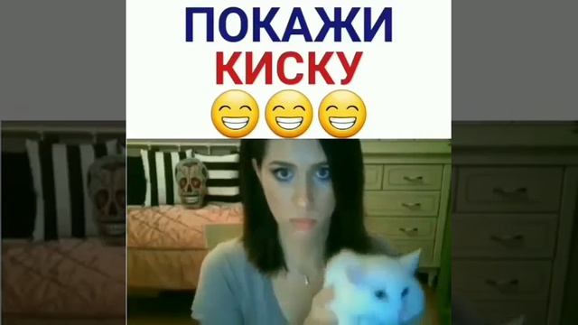 Покажи киску🤣 смотреть онлайн