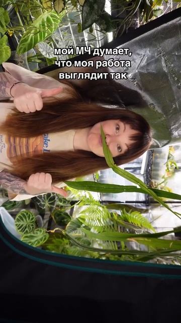 И он таки прав 😎 А это тизер к пятничному видео про #ко смотреть онлайн