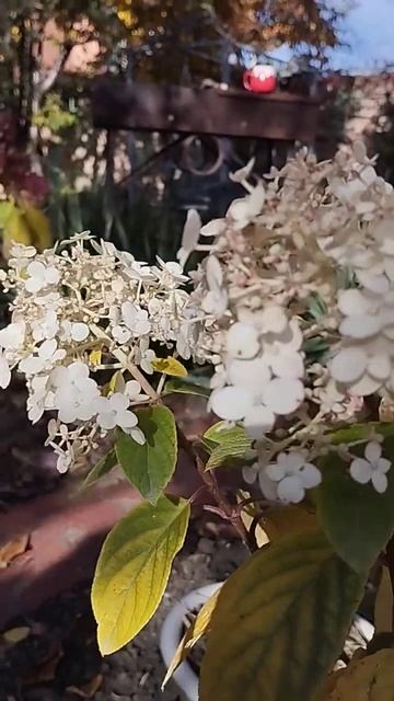 2 ноября 2024 г. смотреть онлайн