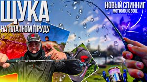 ПОКЛЕВКА КОТОРАЯ ВЗБУДОРАЖИЛА | ОН КЛЮНУЛ И ПОНЕСЛАСЬ | ПРУДОВАЯ ЩУКА ВЕСНОЙ | СТРЕЛЕЦКИЙ РУЧЕЙ