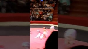 ЦИРК 2020 года