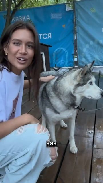 Если найдется в жизни человек, кто любит животных так ? смотреть онлайн