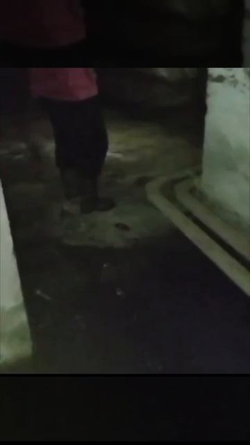 Видео WhatsApp 2025-05-07 в 17.08.42_1748fe49