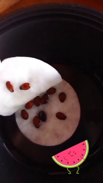 Арбузам быть 😉 #арбуз #огонек ждём когда проклюнуться смотреть онлайн