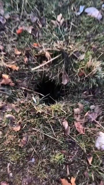 Ребята, посмотрите, унылая действительность, но здесь смотреть онлайн