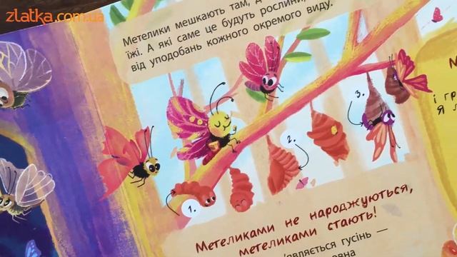 Дізнайся про таємне життя комах 🐞🐝🦗 смотреть онлайн